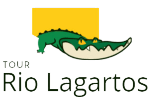 Logotipo oficial de Tour Río Lagartos que muestra un cocodrilo verde sobre un fondo amarillo, utilizado en el portafolio para respaldar los resultados seo local de la agencia Queteencuentren